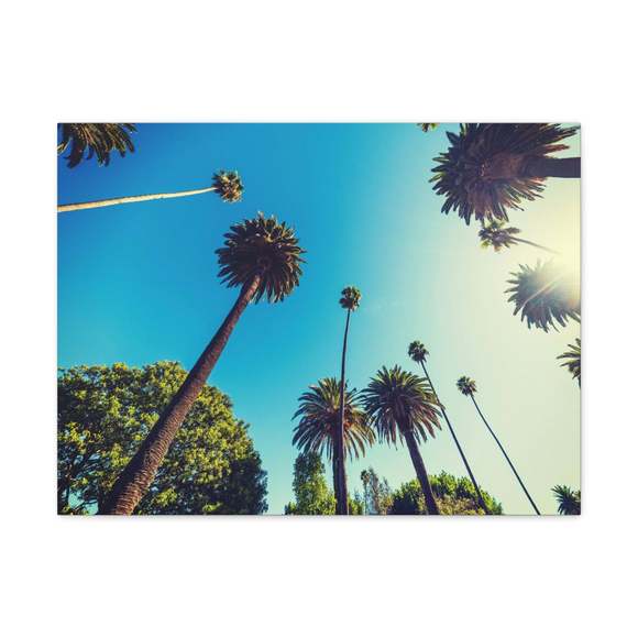 Los Angeles Sky Palm Trees Nature Wilderness Photography Canvas Wall Art for Hom